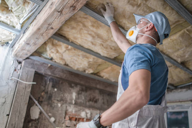 Best Eco-Friendly Insulation in Oolitic, IN